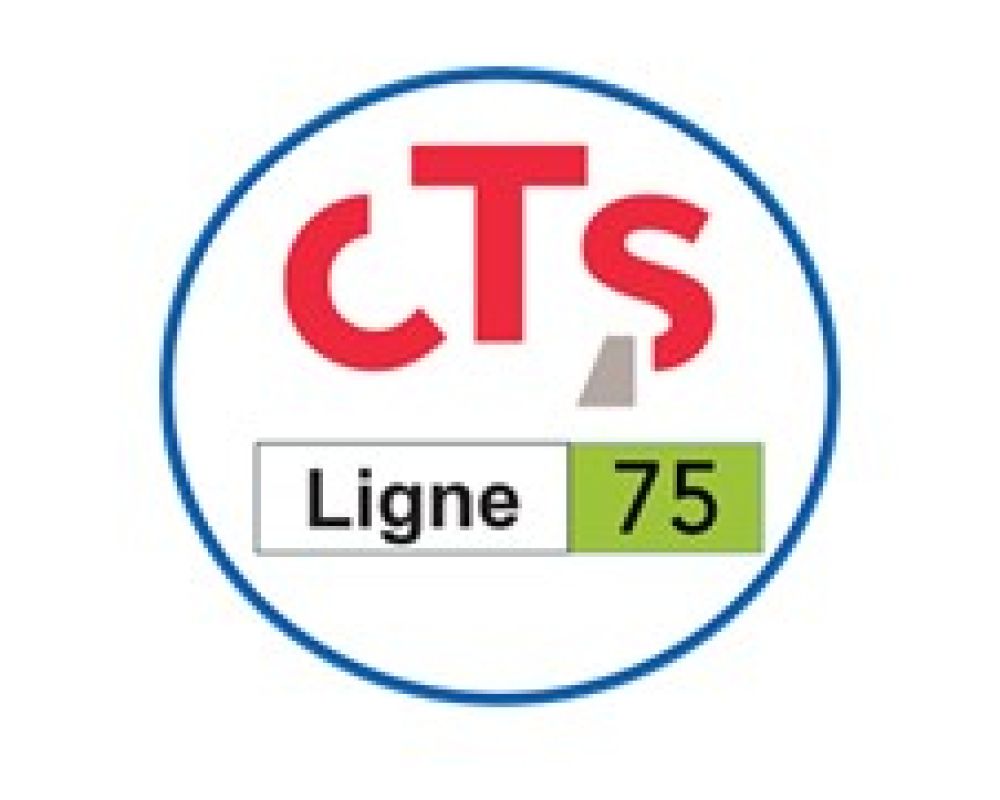 CTS travaux secteur des Halles