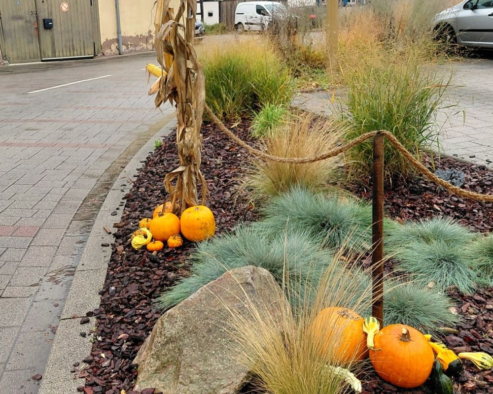 Décoration automnale du village.